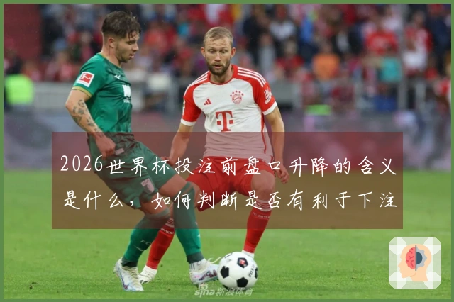 2026世界杯投注前盘口升降的含义是什么，如何判断是否有利于下注？