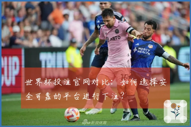 世界杯投注官网对比：如何选择安全可靠的平台进行下注？