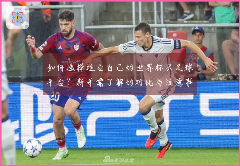 如何选择适合自己的世界杯买足球平台？新手需了解的对比与注意事项