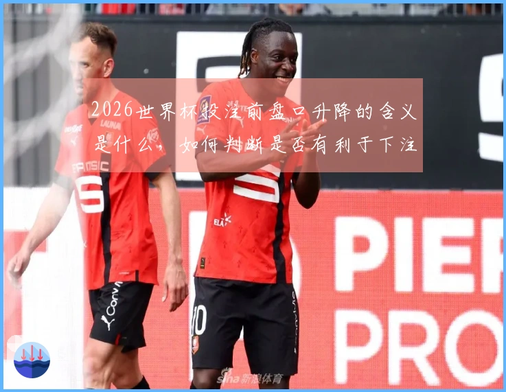 2026世界杯投注前盘口升降的含义是什么，如何判断是否有利于下注？